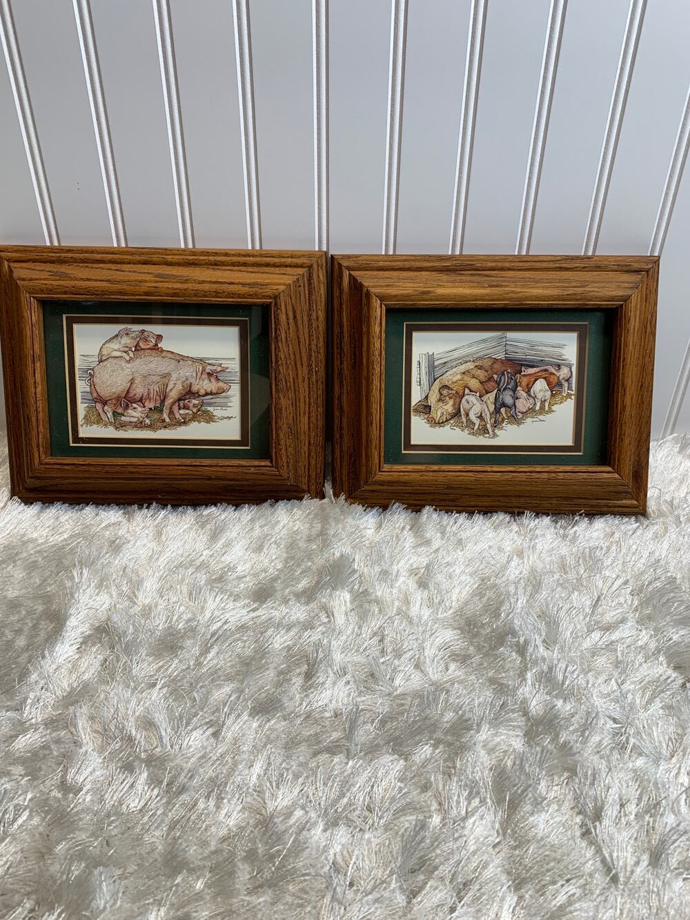 Lynn Bean Piglet Prints Nursing Piglets Matted & Framed 5 x 3.5"
